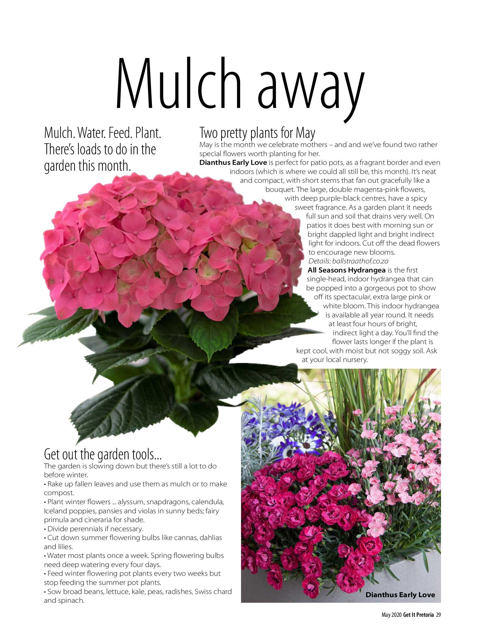 Get It May 2020 page 29